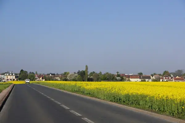 Borne de Recharge 94 Installateur borne de recharge Noiseau